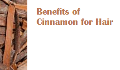 Benefits of Cinnamon for Hair