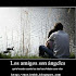 Los Amigos Son Angeles
