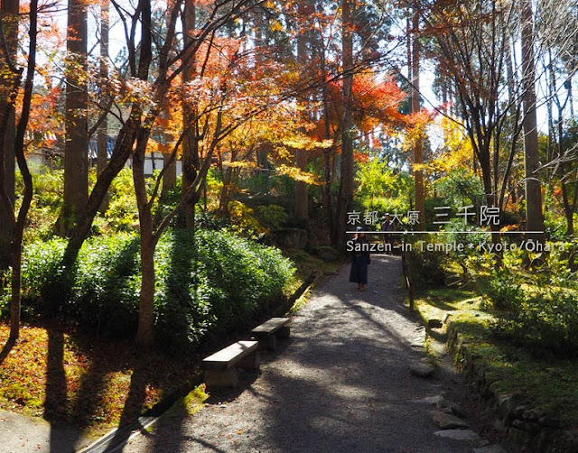 京都 大原 三千院の慈眼の庭