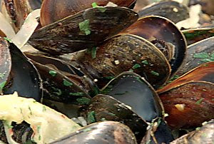 Spicy Mussels with White Wine