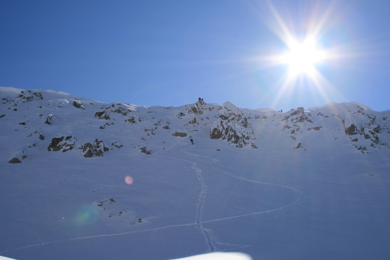 retezat 239