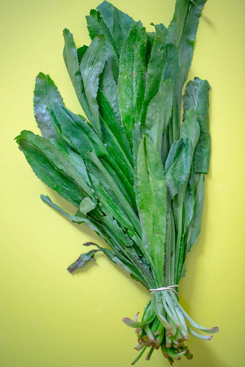 A tied bundle chadon beni as it is sold in the stores on top of a green board.