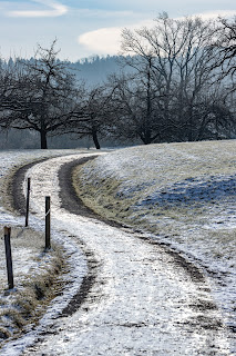 Einsamer Weg bei Uzwil