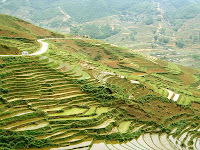 Sapa Lands