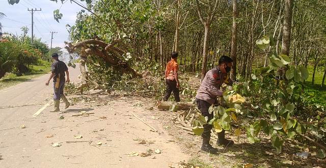 Bhabinkamtibmas Polsek Polsek Ranto Peureulak Polres Aceh Timur Bantu Warga Tebang Pohon