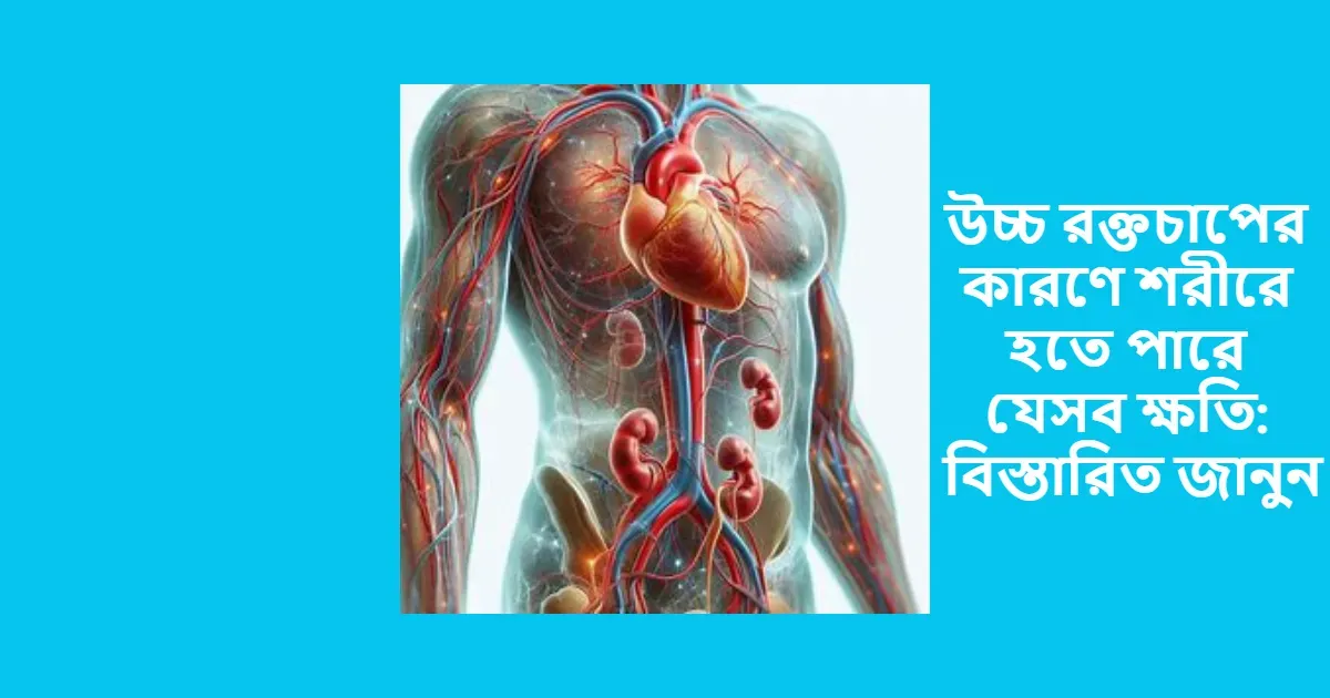 উচ্চ রক্তচাপের কারণে শরীরে হতে পারে যেসব ক্ষতি বিস্তারিত জানুন