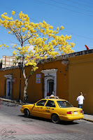 Yellow cab, Oaxaca, Mexique, Mexico, travel, voyage