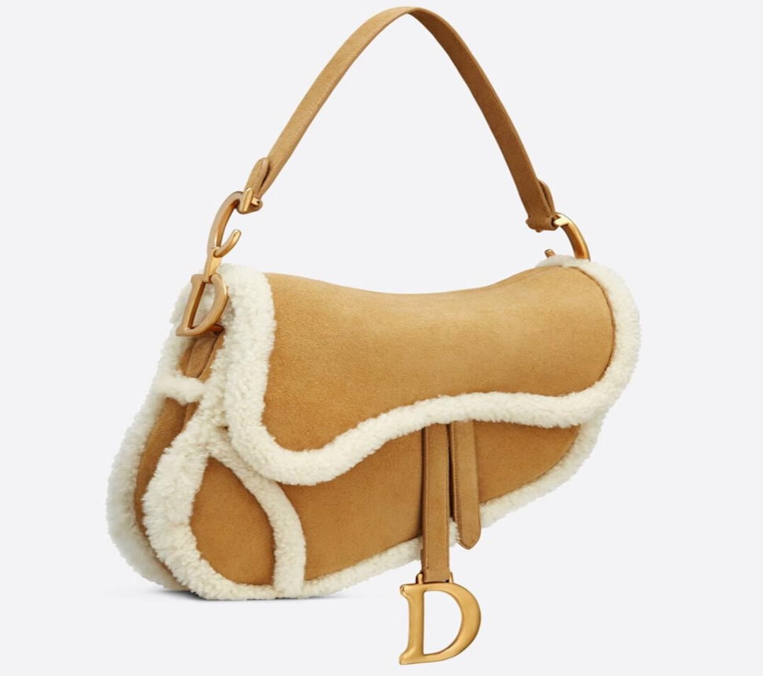 Dior Saddle Bag