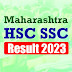 Rajkotupdates.news: Maharashtra Board SSC Result 2023: Maharashtra Board 10th Result Coming Soon, know when and where you will be able to download.