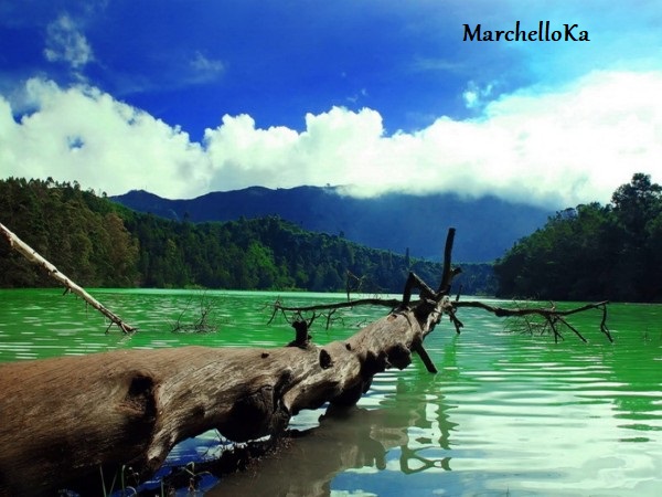 Keindahan Wisata Telaga Warna Dieng Plateau Jawa Tengah