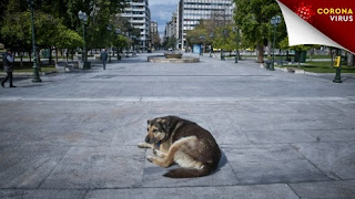 Κάλεσμα εθελοντών για σίτιση αδέσποτων ζώων σε όλη την Ελλάδα (pic)