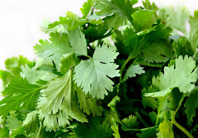 coriander-cilantro-chinese-parsely-fresh-leaves-tastes-like-soap-metal