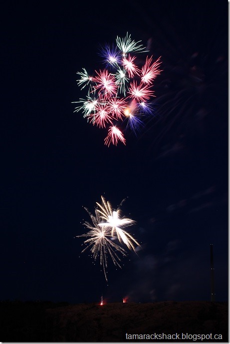 fireworks7