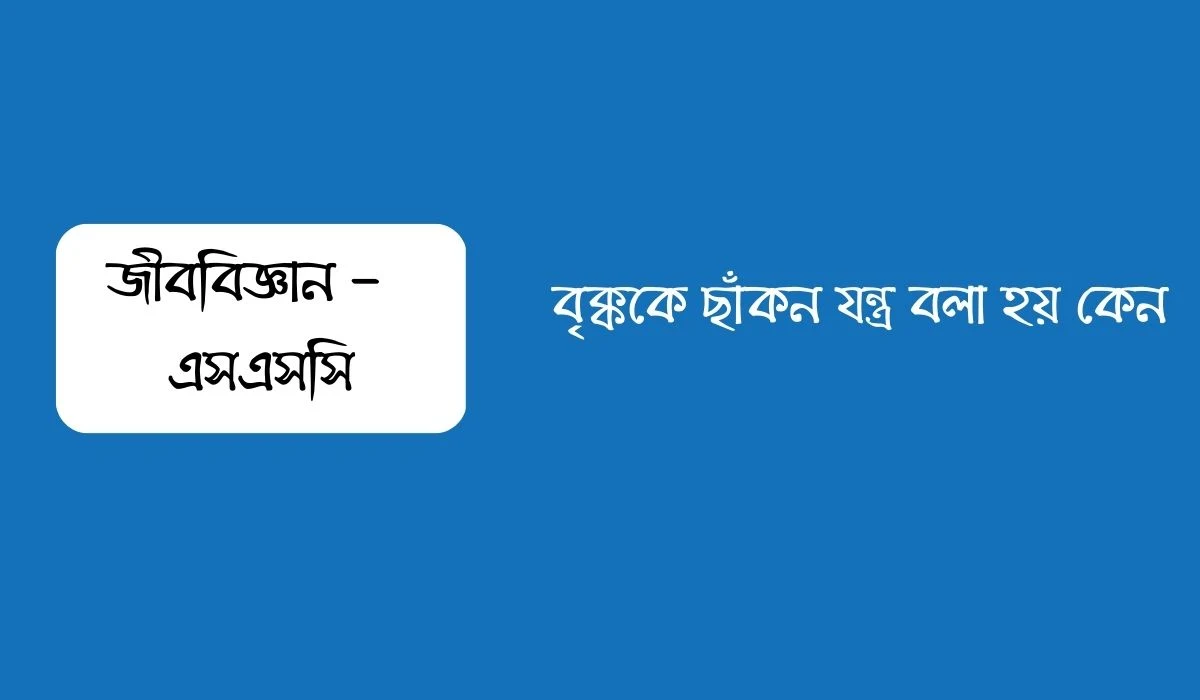 বৃক্ককে ছাঁকন যন্ত্র বলা হয় কেন