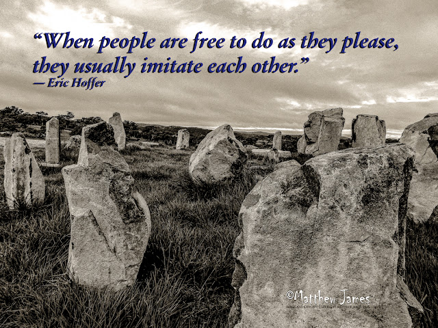 'When people are free to do as they please, they usually imitate each other' - Eric Hoffer