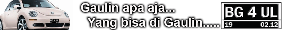 BG 4 UL