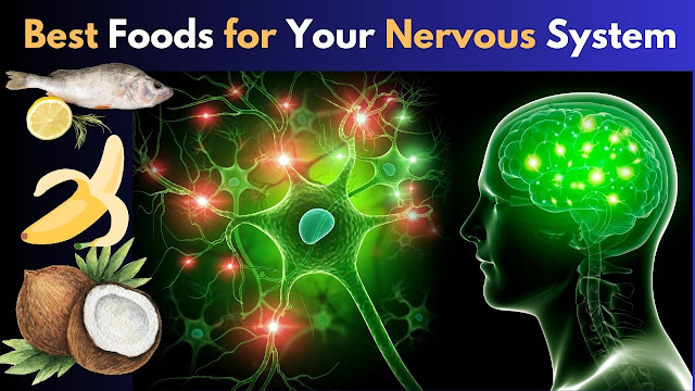 Top Foods for a Healthy Nervous System | A Comprehensive Guide
