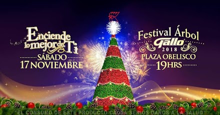 Festival Árbol Gallo 2018 