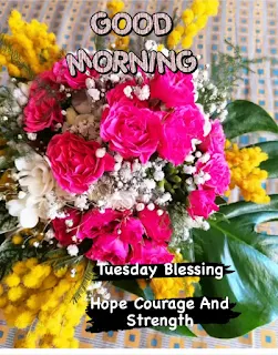 50 Good Morning Happy Tuesday Images - Morning Greetings