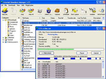 Internet Download Manager Original