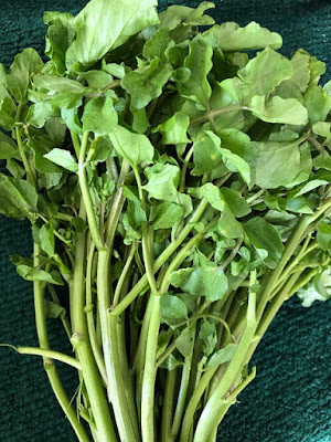 فوائد الجرجير Watercress