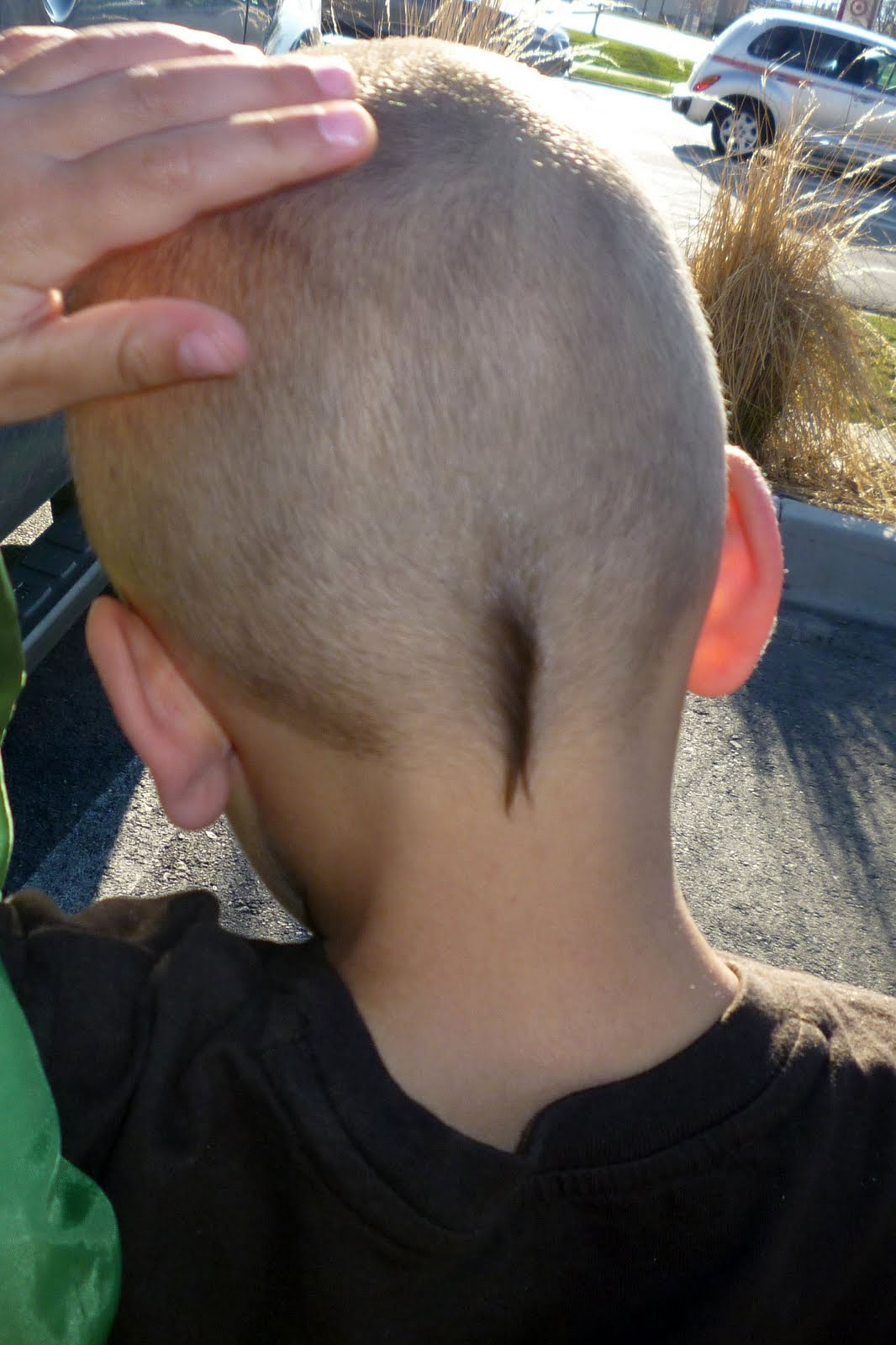 Daily Dash of Awesome.: Rat tail.