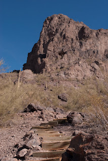 Picacho, Picacho Peak, hike, desert, cactus