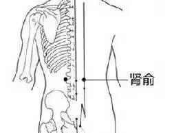 膀胱經很重要，常揉按，捏脊疏通氣機(腰酸背痛)