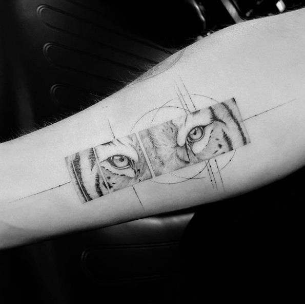 estes_olhos_de_tigre