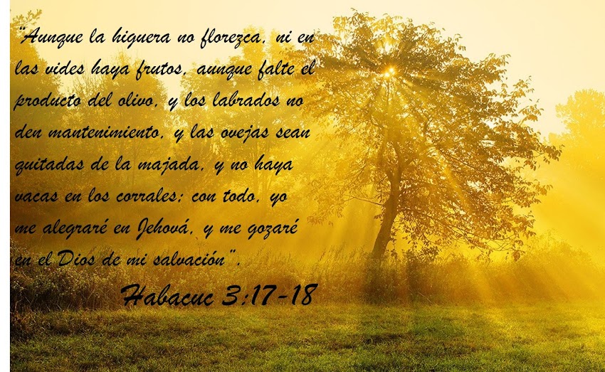 La dicha de confiar en Dios (Habacuc 3:17-18)