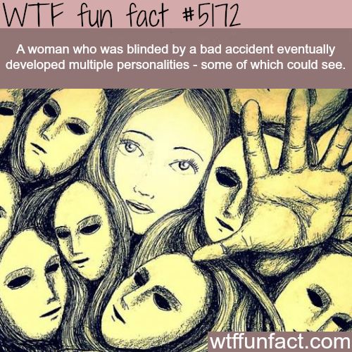 Interesting WTF Fun Facts That You Probably Didn't Know