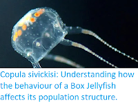 https://sciencythoughts.blogspot.com/2020/05/copula-sivickisi-understanding-how.html