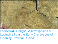 http://sciencythoughts.blogspot.co.uk/2016/11/lasiosmylus-longus-new-species-of.html