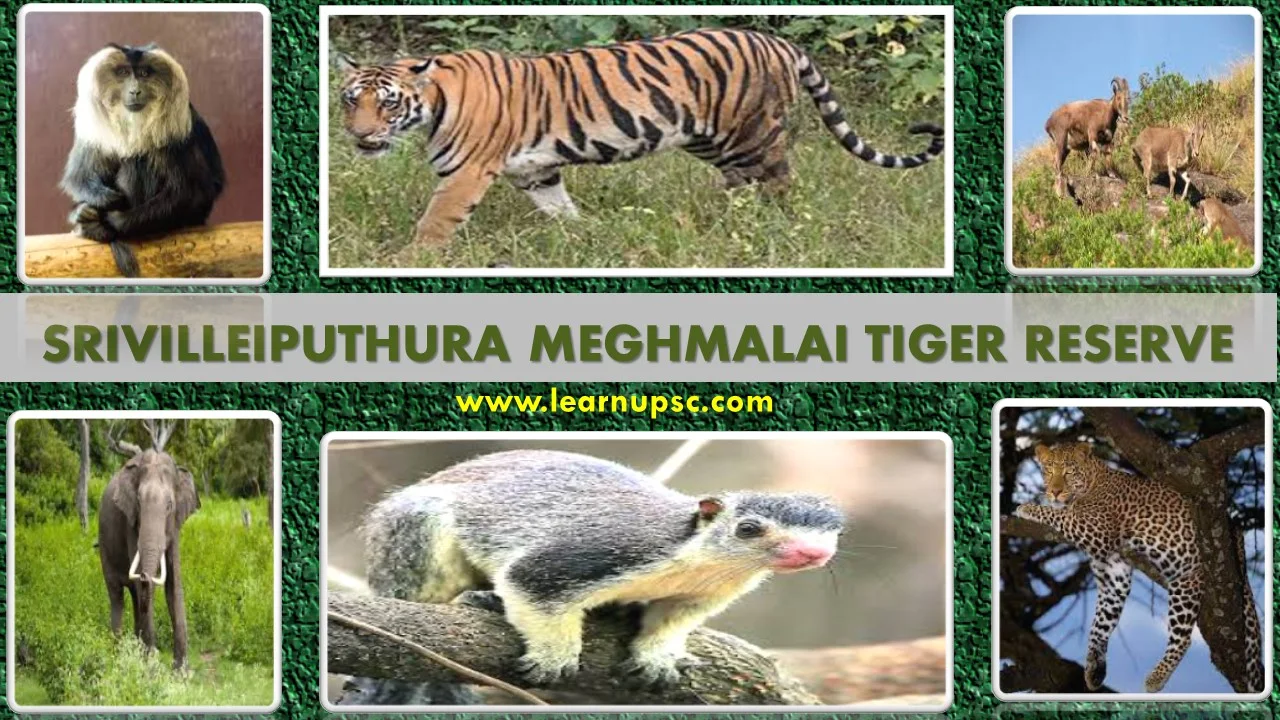 Srivilleiputhura Meghmalai Tiger Reserve