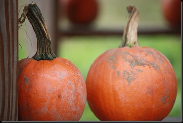 October2009 032