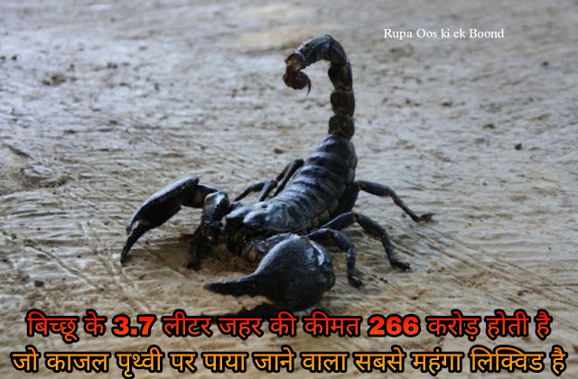 बिच्छू के बारे में 30 रोचक तथ्य || 30 Interesting facts about Scorpio ||