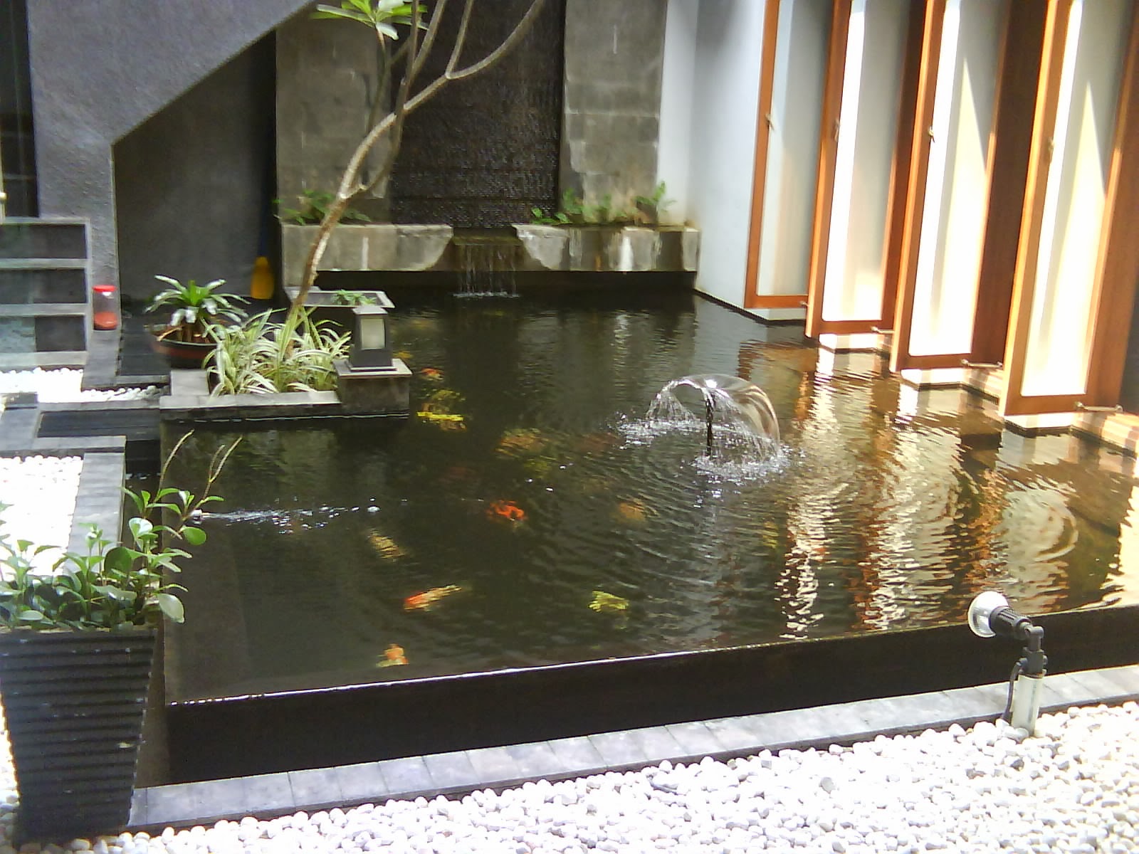Desain Membuat Kolam  ikan  Minimalis Gambar  Rumah Idaman