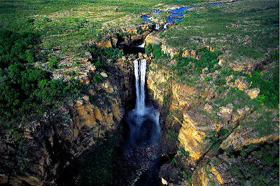 Kakadu