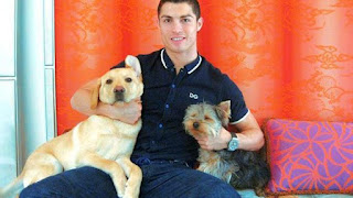 Más de 10 fotos de hombres guapos y famosos con sus perros