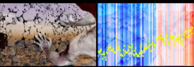 Dry Days video: split screen: man on dry rock/warming stripe graphics