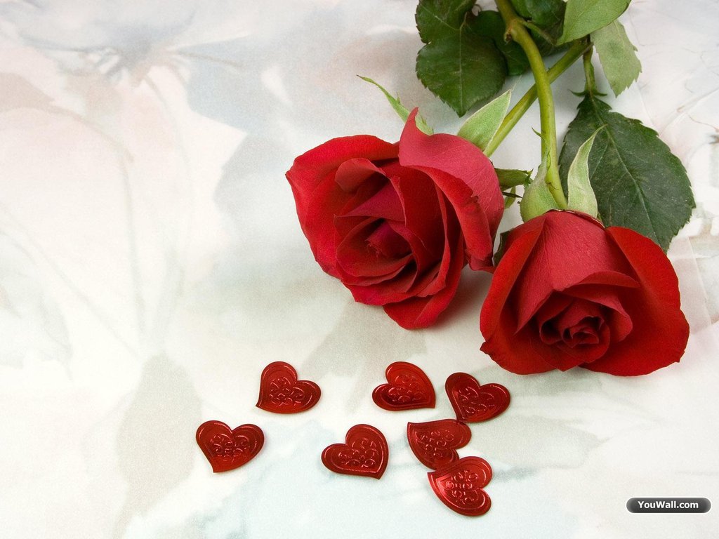 Download Full Screen Red Roses Wallpapers Seen On www.dil-ki-dunya.tk