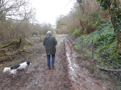 Mid-Devon, January