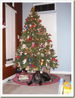 Christmas dog