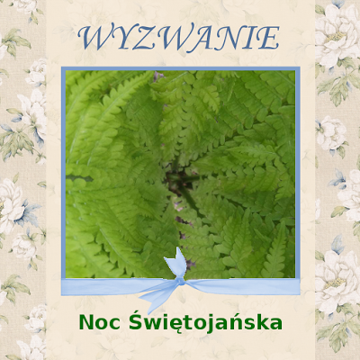 http://szuflada-szuflada.blogspot.com/2016/06/wyzwanie-6-noc-swietojanska.html
