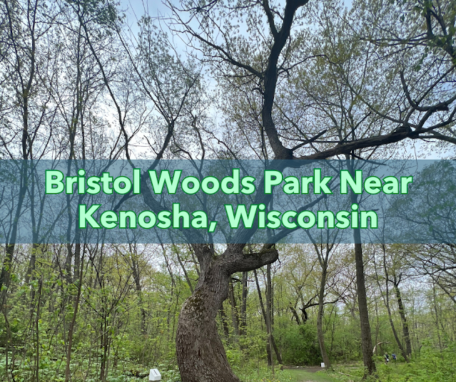 Spring Hike in Bristol Woods Park in Wisconsin