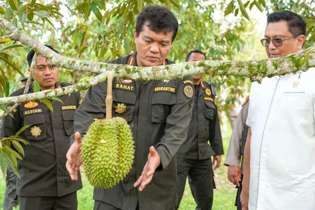 China Resmi Buka Pintu Ekspor untuk Durian Beku Indonesia