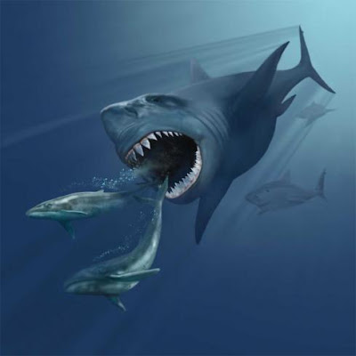 巨牙鯊（巨齒鯊 Carcharodon megalodon）史上最大鯊魚 體長為大白鯊兩倍