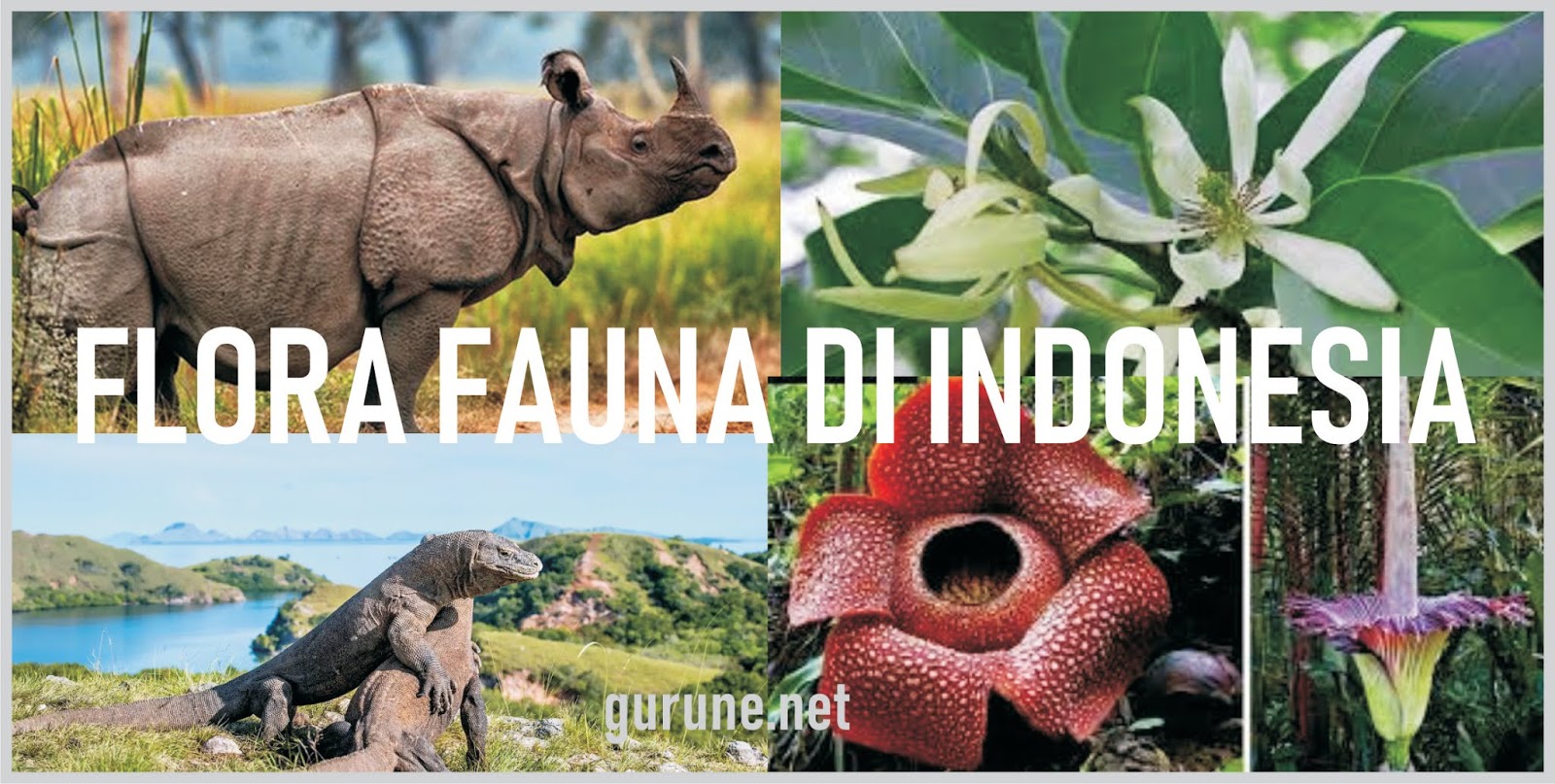 Beragamnya Flora Dan Fauna Indonesia Materi Kelas V Tema 1 Sub