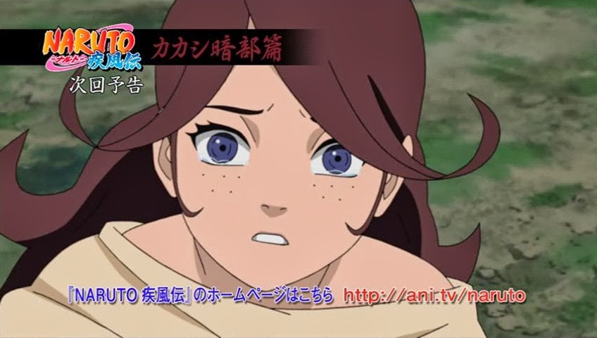 Naruto Shippuden Episode 354 Subtitle Indonesia