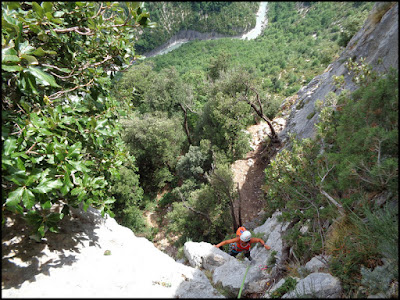 El Verdón, Jardin des Ecureuils, Chlorochose